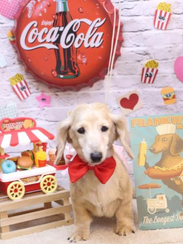 20230913マックくん